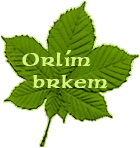 Orlím brkem